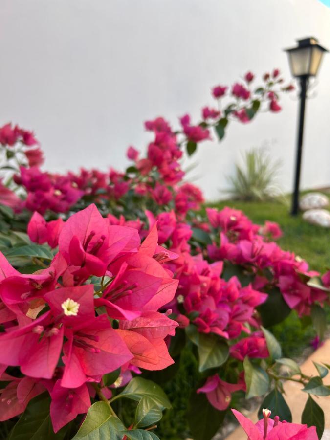 Casa Olimpia Sp Villa Esterno foto